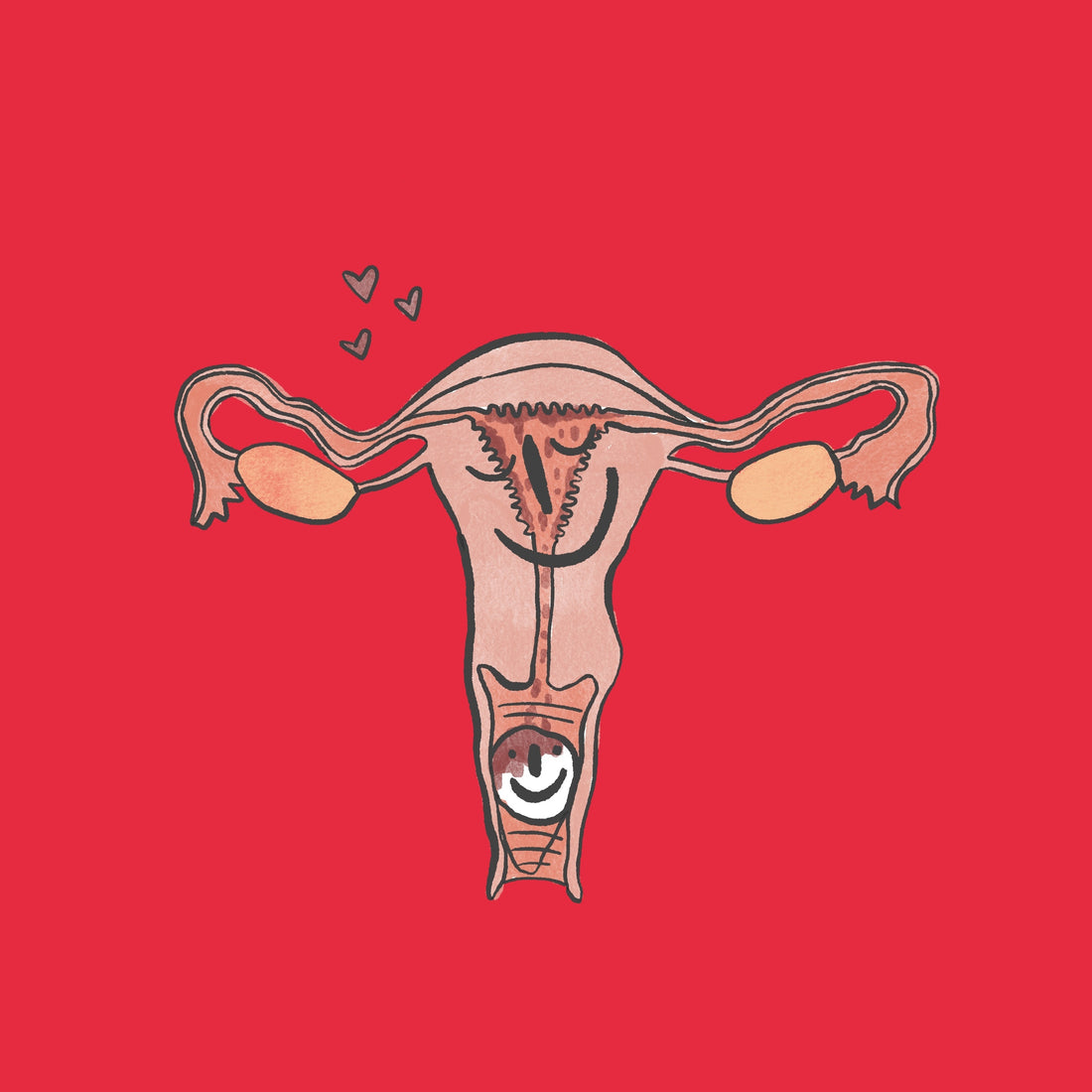 Vaginaltrockenheit, Scheidentrockenheit