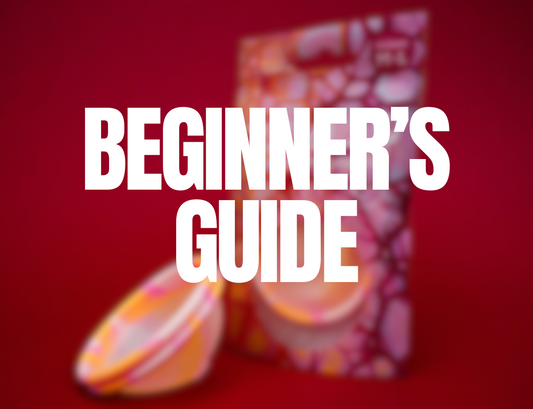 Die Disk: Beginner’s Guide