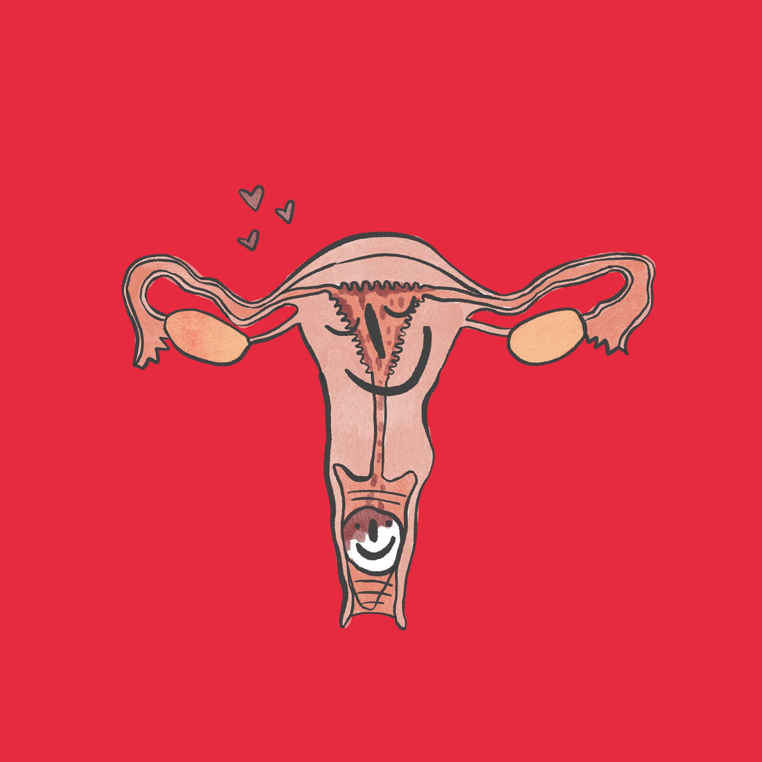 Vaginaltrockenheit, Scheidentrockenheit