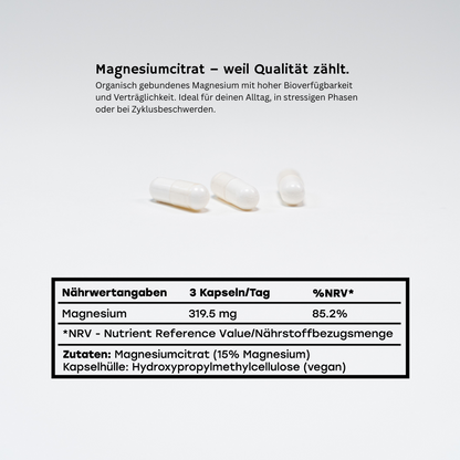 MEGA MAGNESIUM Magnesiumsupplement