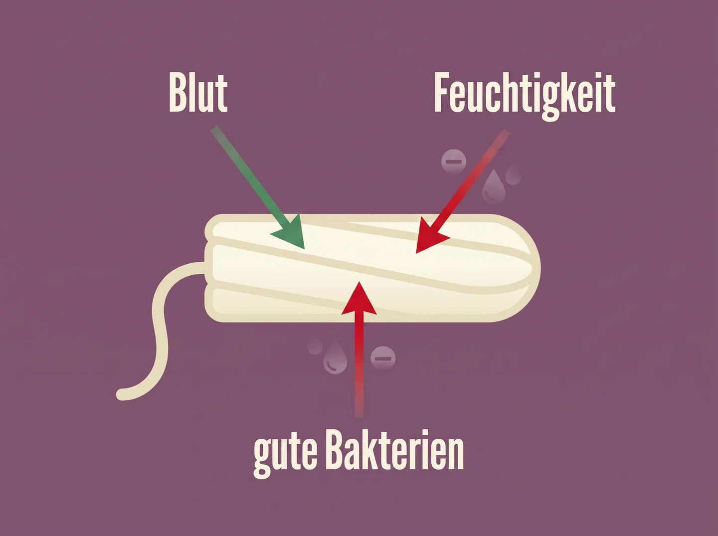 Schaubild: Tampon saugt Blut, aber auch Feuchtigkeit und gute Bakterien auf